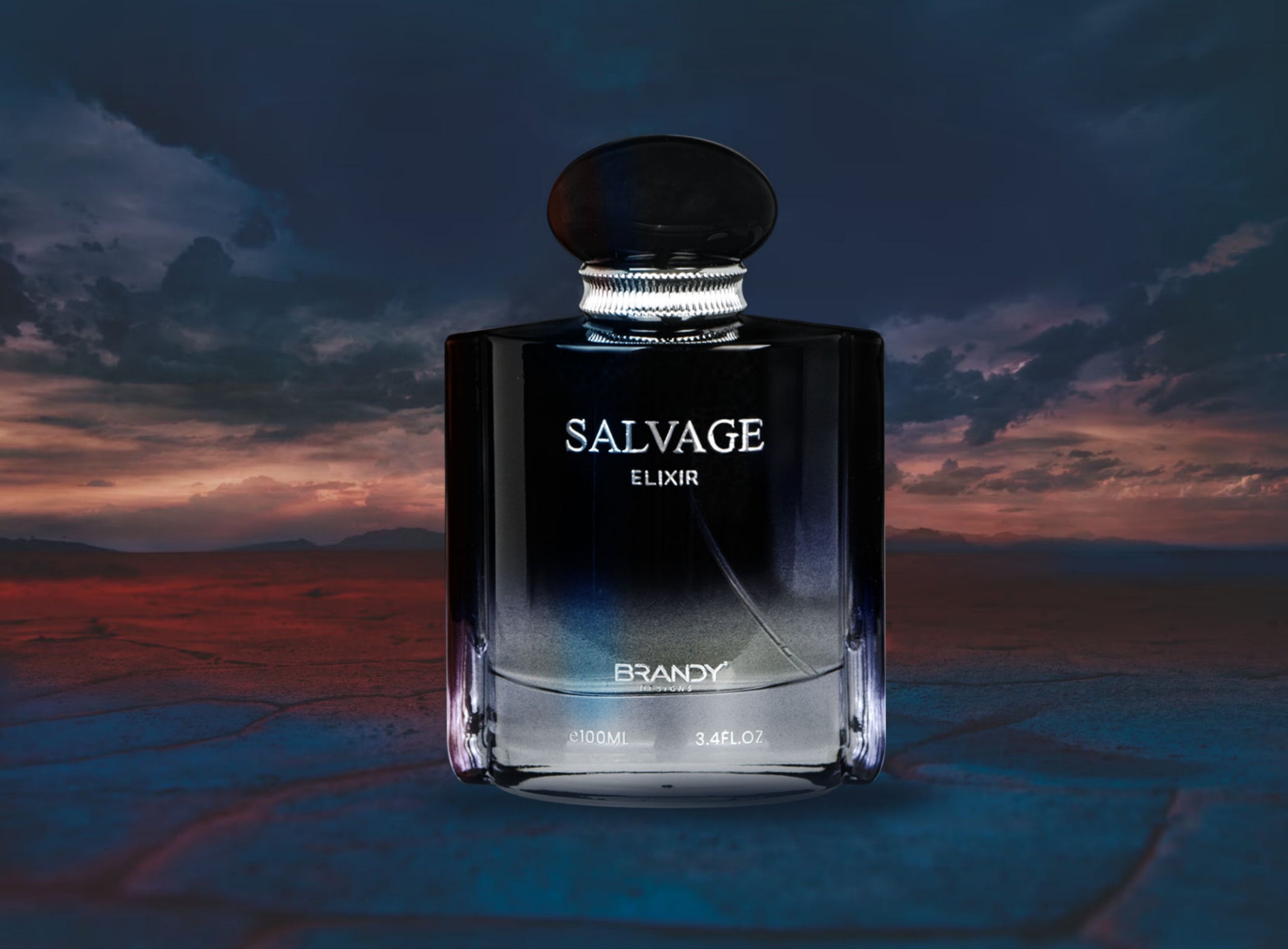 Salvage Elixir Eau De Parfum Spray 100ml