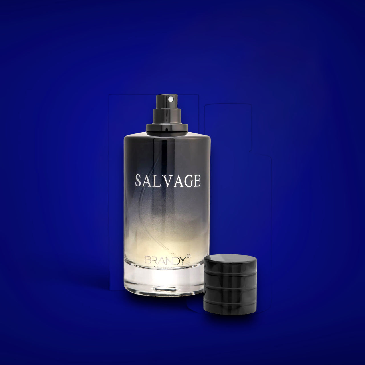 Salvage Eau De Parfum Spray 100ml Unisex